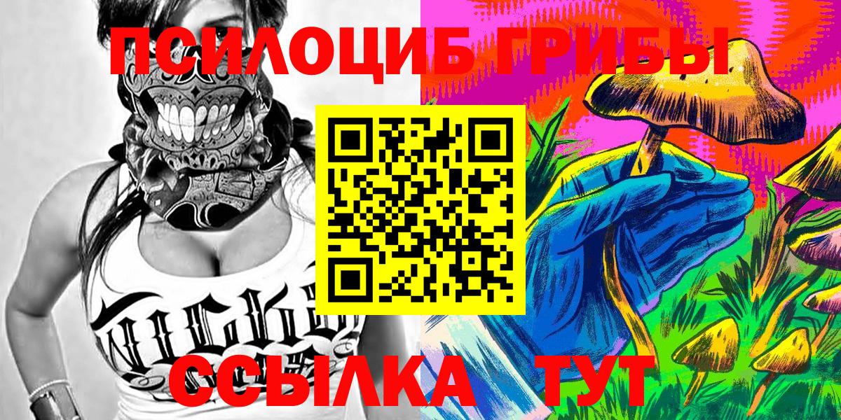 Кунгур  Галлюциногенные грибы мицелий  Псилоцибиновые грибы прущие грибы  Вход с VPN 
